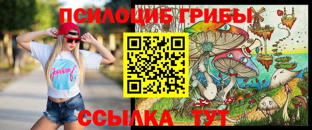 Соль-Илецк  Галлюциногенные грибы MAGIC MUSHROOMS  Вход с VPN 