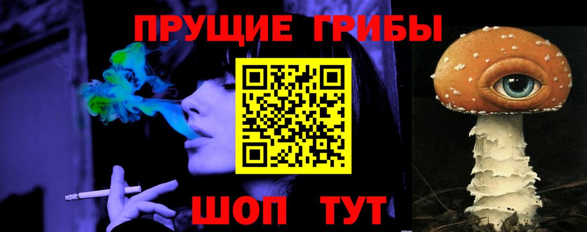 Галлюциногенные грибы Psilocybe Соль-Илецк